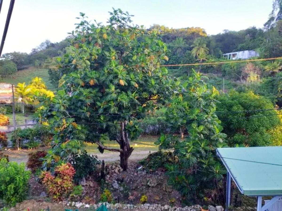 Hébergement de vacances Maison D'une Avec Jardin Clos Et Wifi A